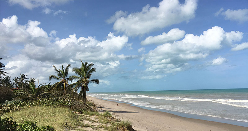 Erin Deady Law Delray Beach,  Office