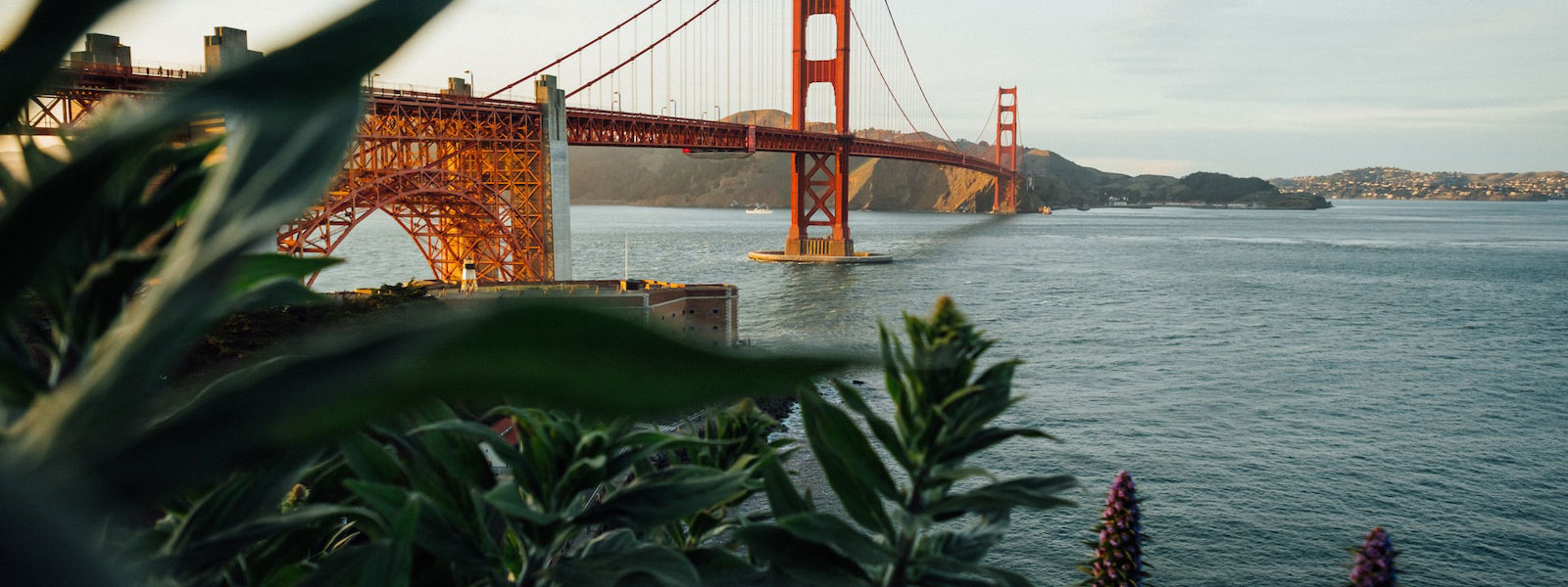 Bradley, Curley, Barrabee & Kowalski, A Professional Corporation, PC Larkspur, CA Office