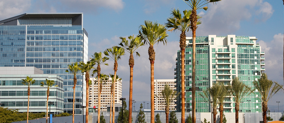 Iger Wankel & Bonkowski, LLP Laguna Hills,  Office
