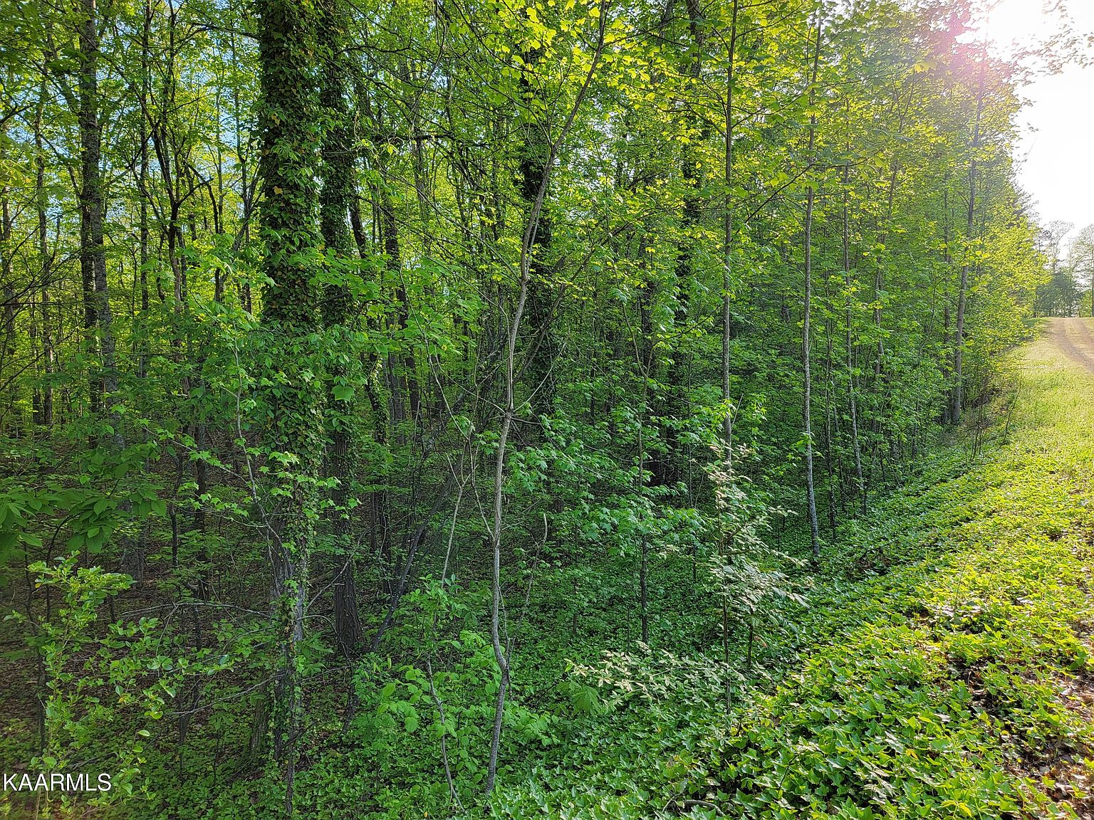 Davis Law Firm Kingston, TN Office