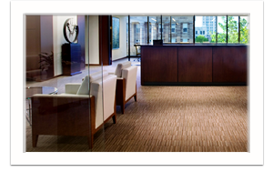 Sorling Northrup Springfield, IL Office