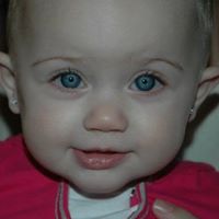 Austill Lewis Pipkin & Maddox PC Birmingham, AL Office