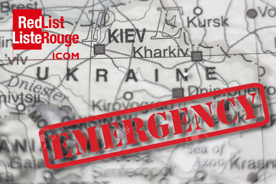 Laga Kortrijk, Belgium Office