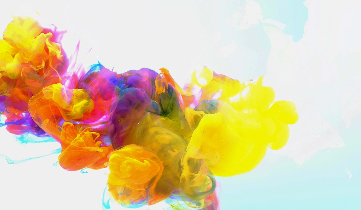 AJ Park Wellington, New Zealand Office