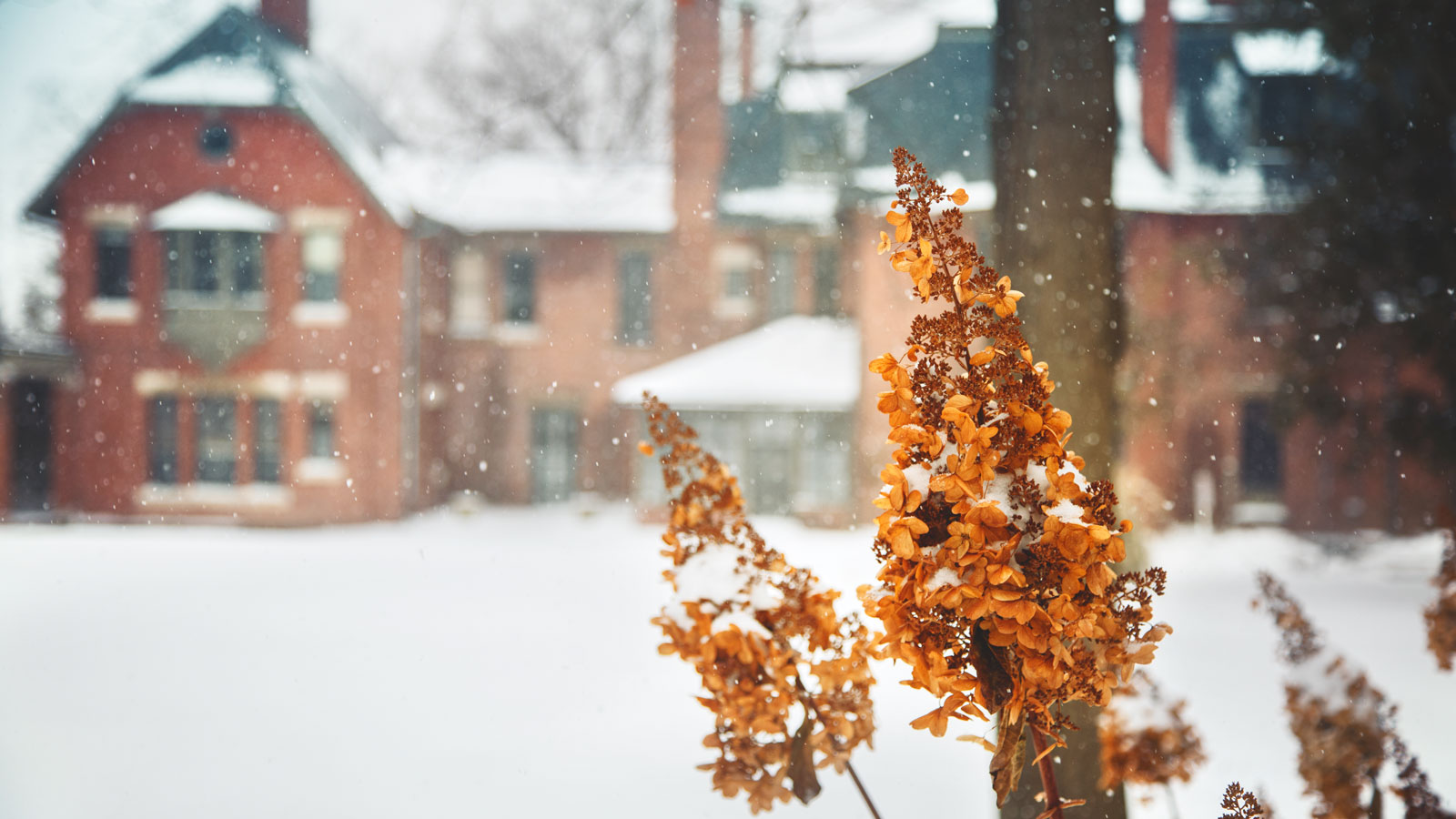 Shapiro & Mack, P.A Columbia, MD Office