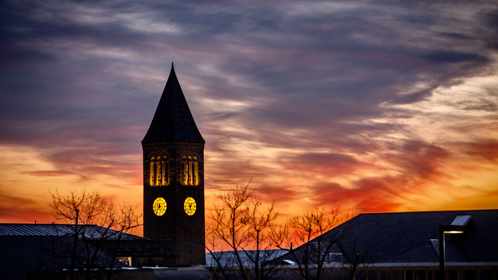 Rogers Towers, PA Naples, FL Office