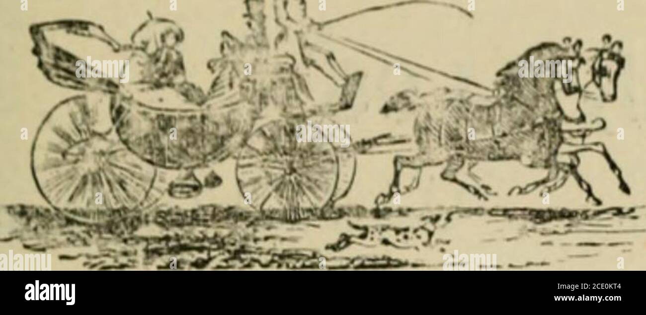 Newton Barth Attorney At Law Saint Louis,  Office