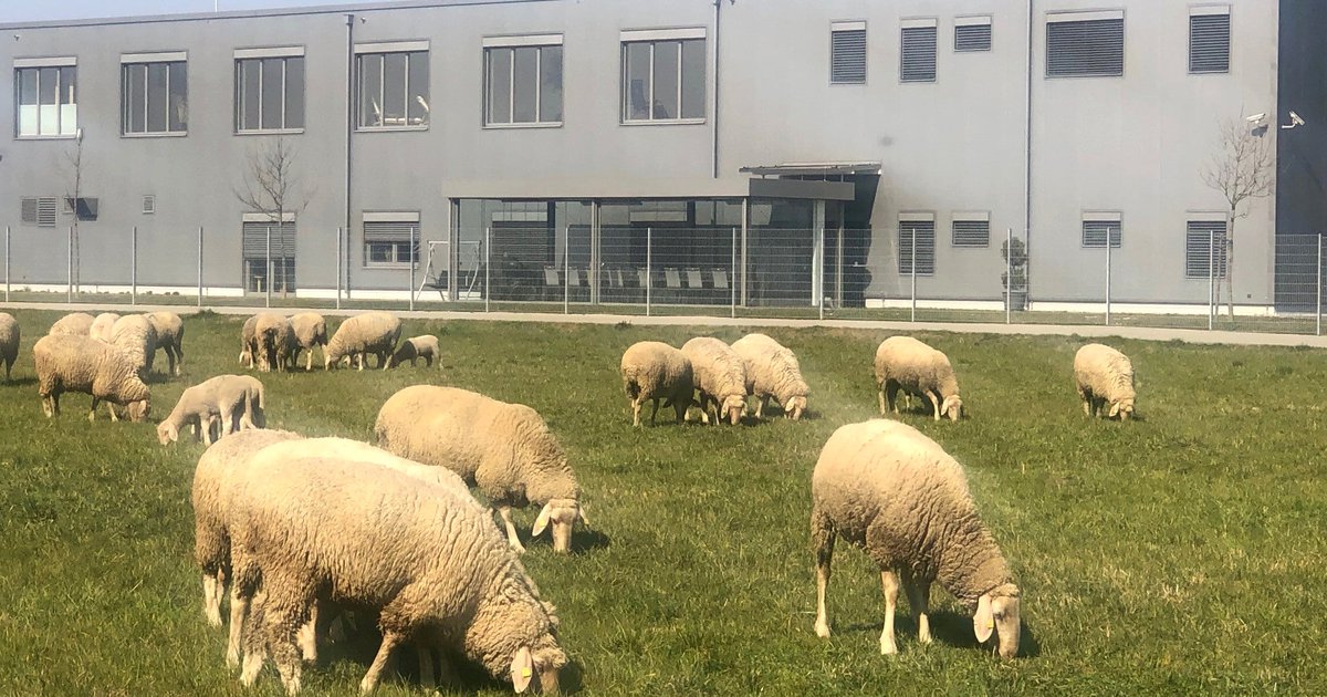 Ashurst Munich, Germany Office