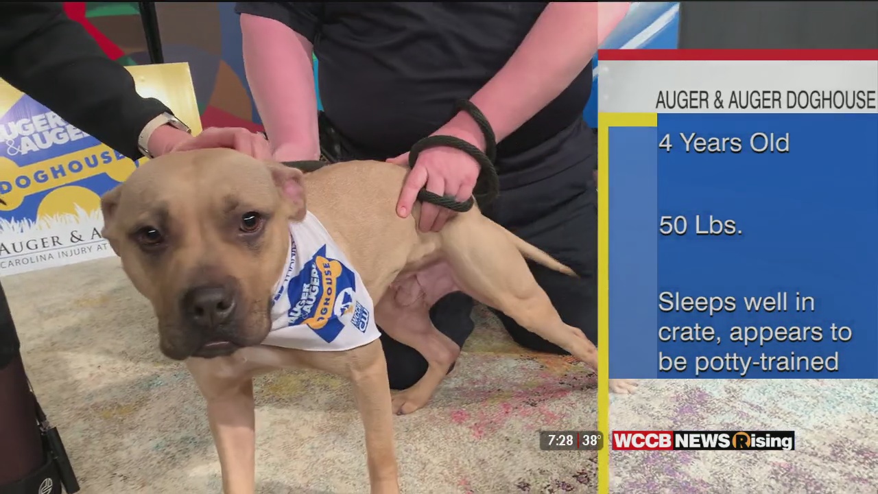 Auger & Auger Charlotte, NC Office