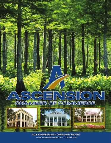 Pujol, Pryor & Irwin, LLC Prairieville, LA Office