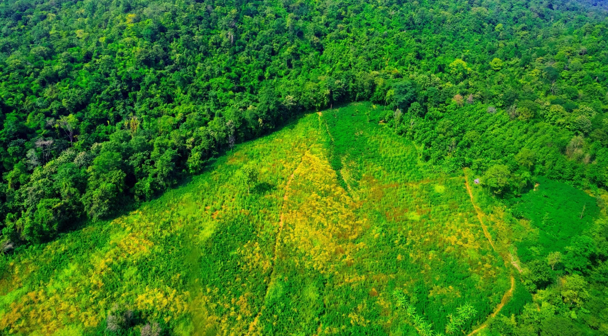 Rutter & Roy, LLP Sea Girt, NJ Office