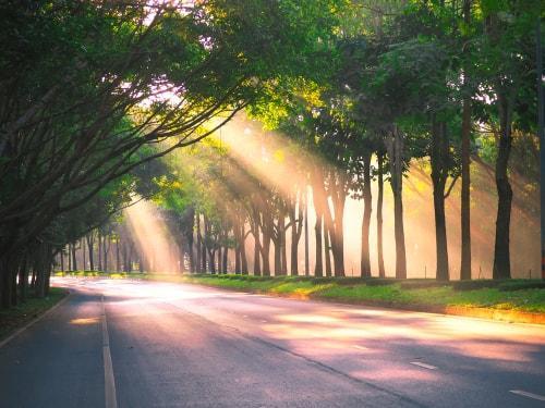 Mevorah & Giglio Law Offices Lombard, IL Office