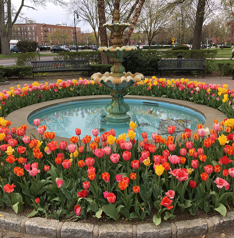 McLaughlin & Stern, LLP Naples, FL Office