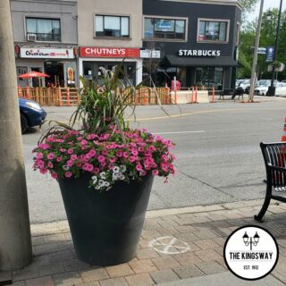 Mitchell, Bardyn & Zalucky, LLP Etobicoke, Canada Office
