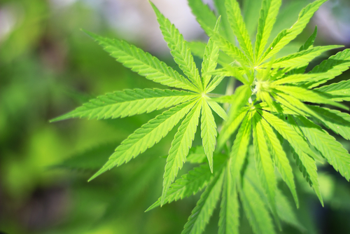 Peter Loyd Weber & Associates Northglenn,  Office