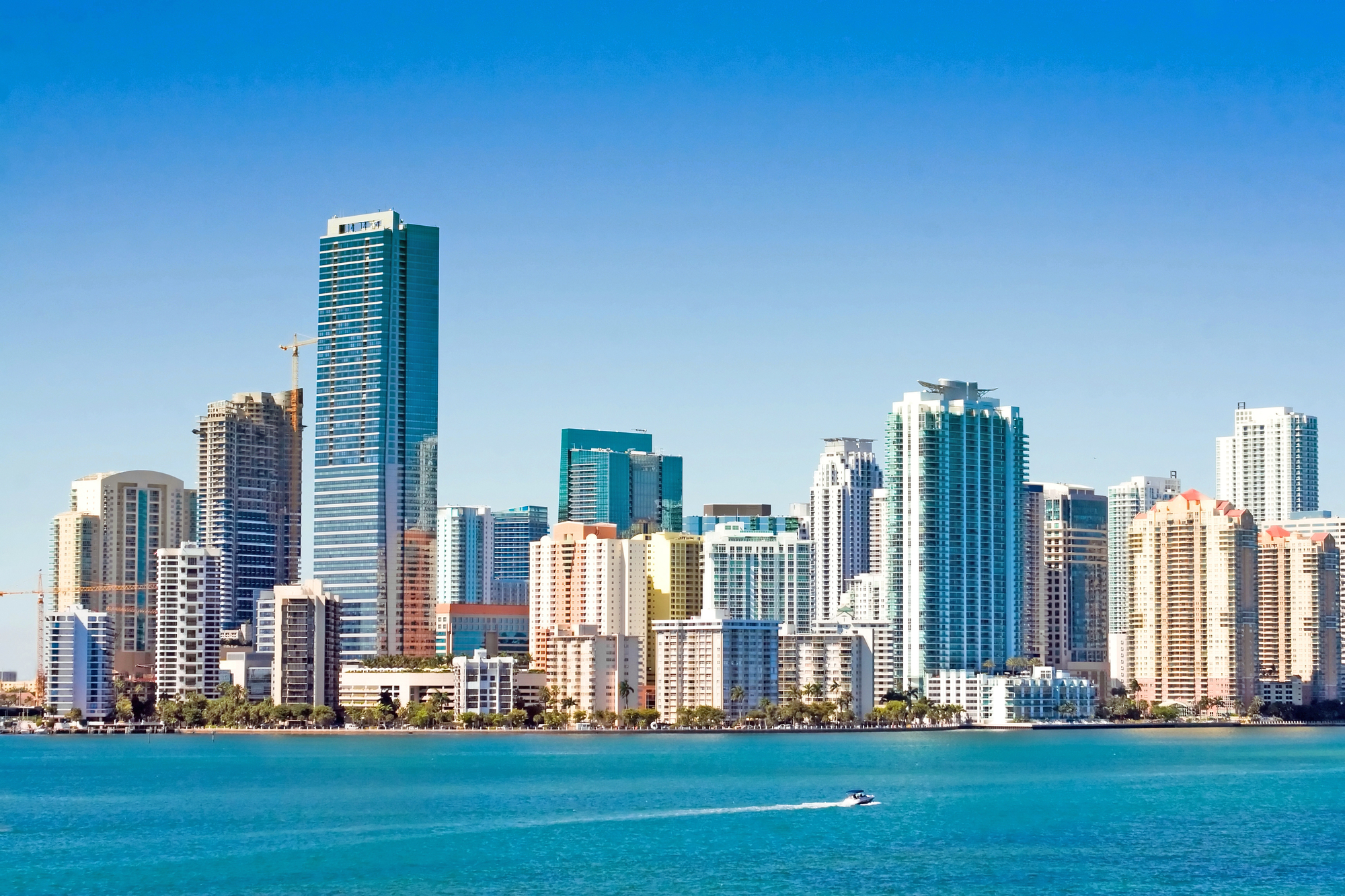 Kaplan Loebl Aventura,  Office