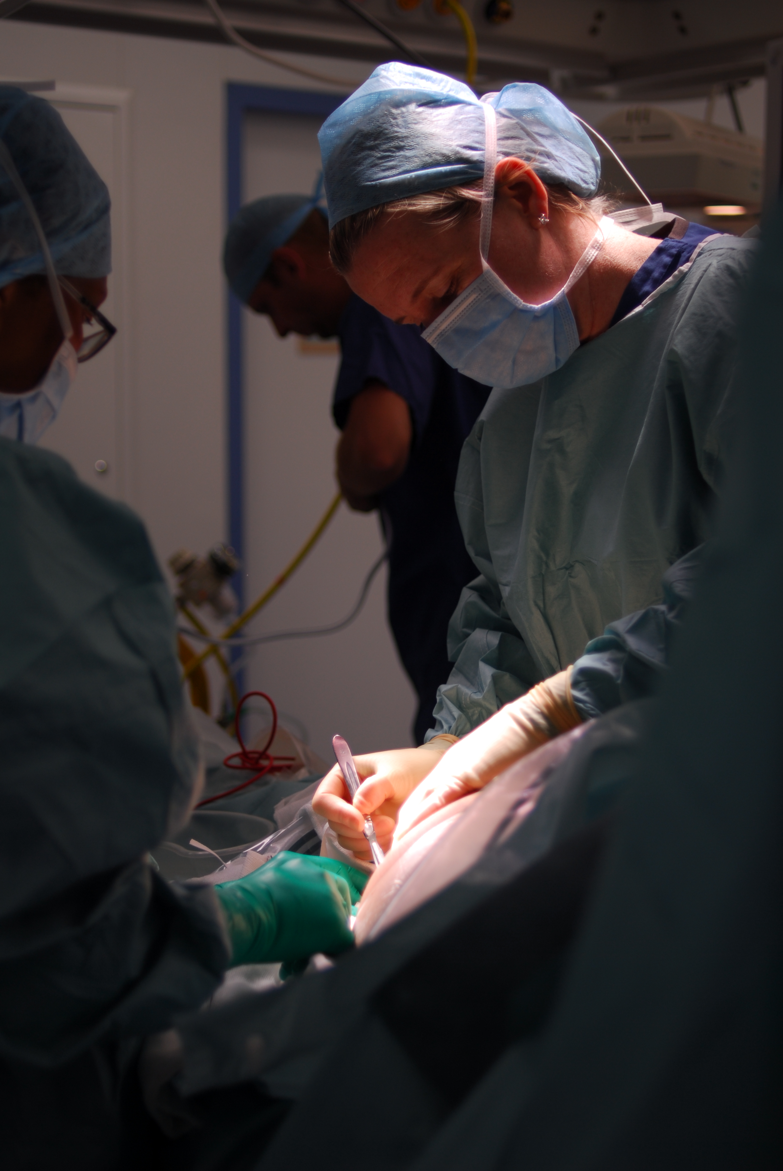 Bottar Law, PLLC Albany, NY Office