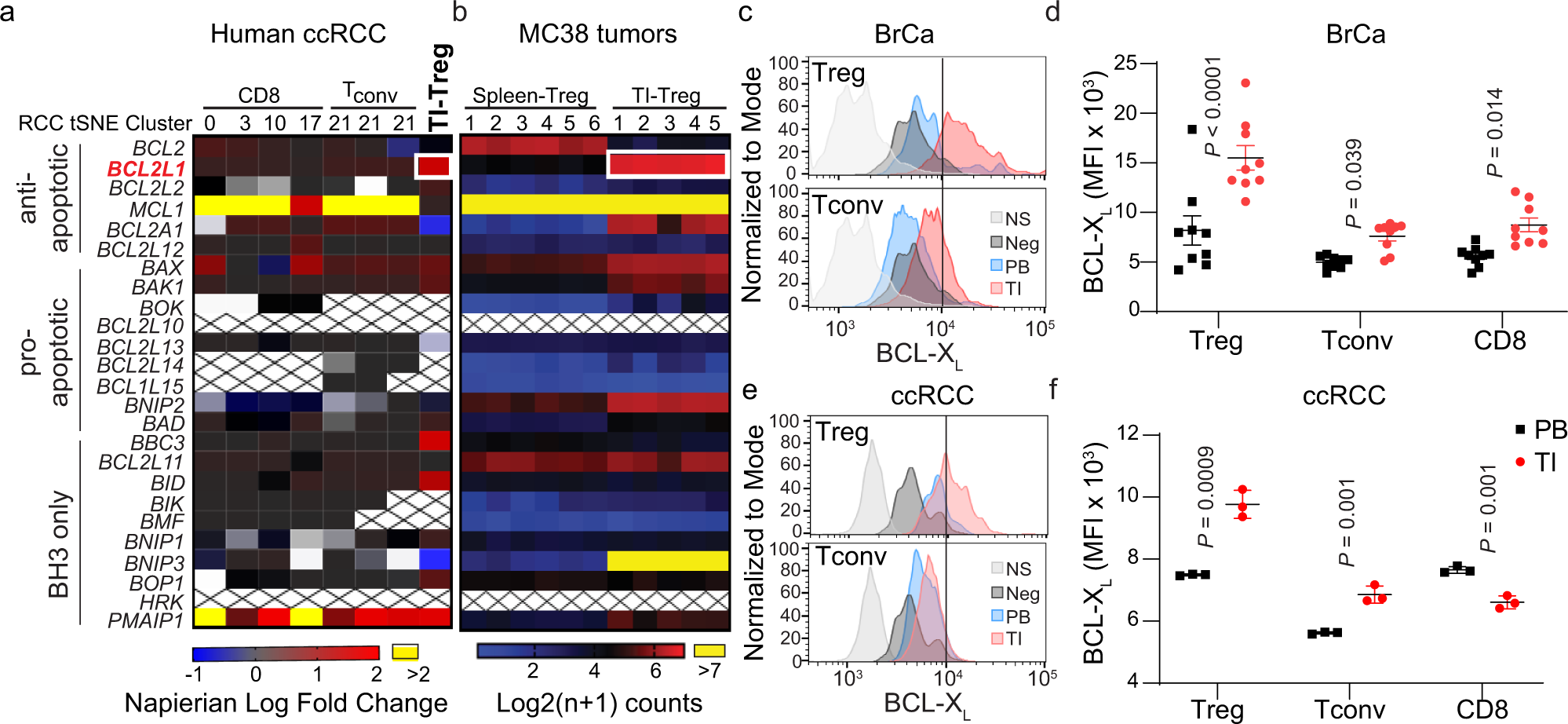 Holden Law Group, APC Auburn, CA Office