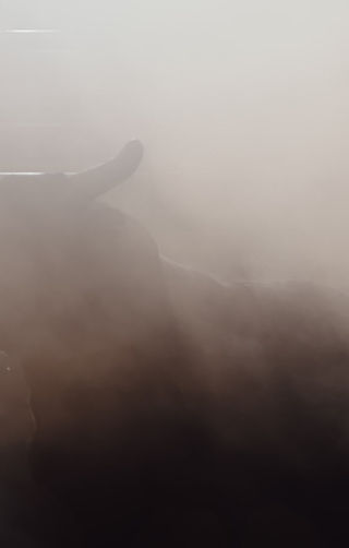 The Law Offices of Anthony Accetta, PA Coral Gables, FL Office