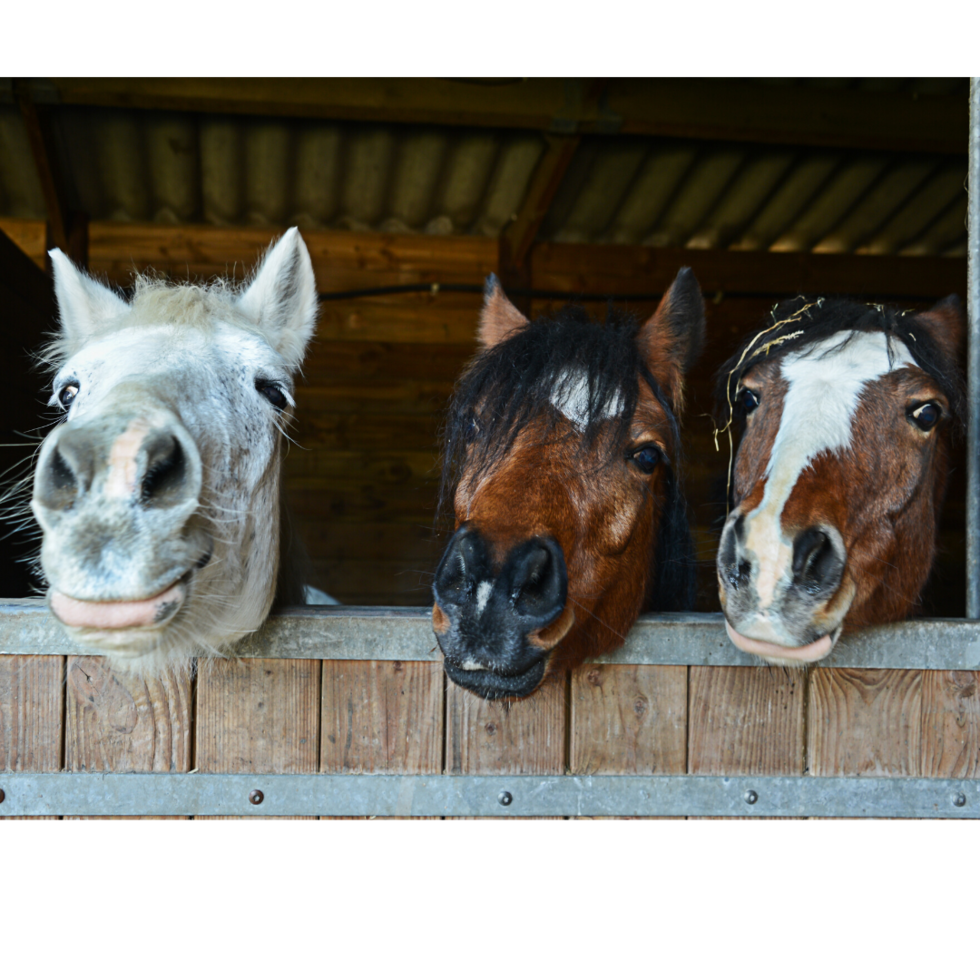SwedelsonGottlieb Los Angeles, CA Office