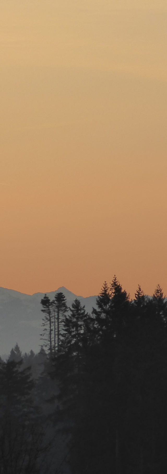 Ascher & Denton, PLLC Olympia, WA Office