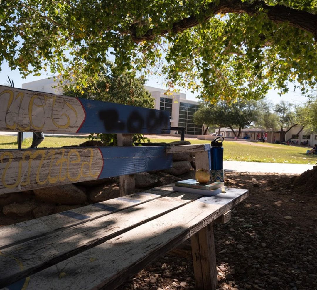 Goering, Roberts, Rubin, Brogna, Enos & Treadwell-Rubin, P.C Tucson, AZ Office