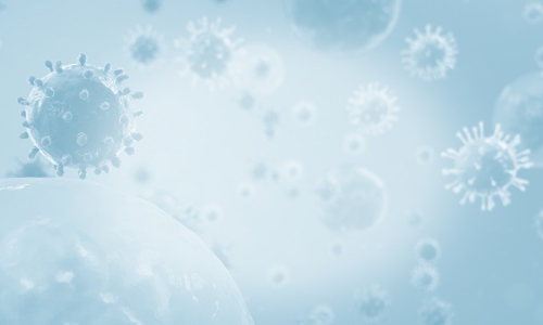 Plews Shadley Racher & Braun LLP Indianapolis, IN Office