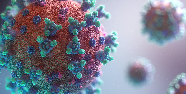 Borack Law Group Longwood, FL Office