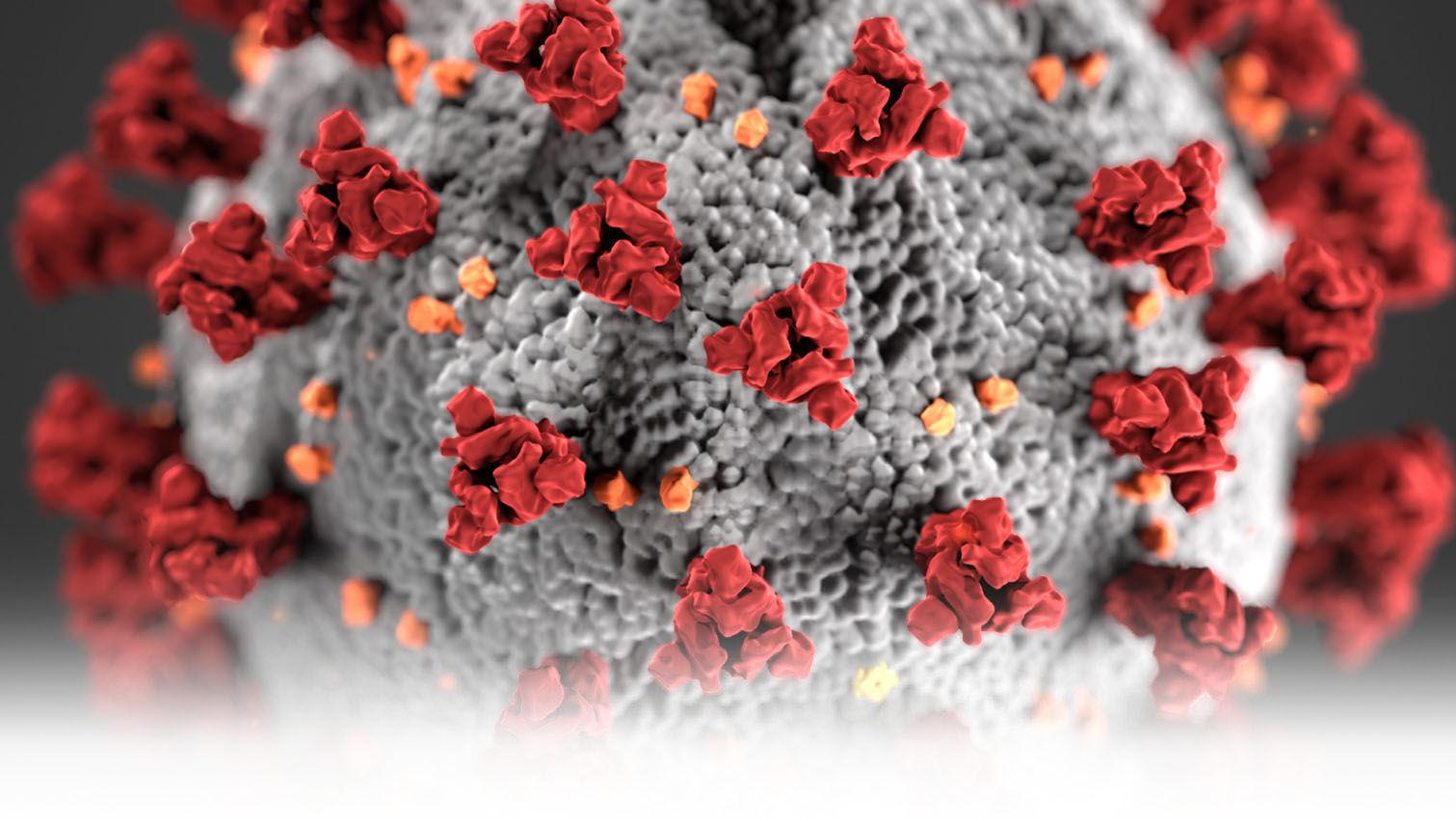 Sermons Law, PLLC Orange Park,  Office