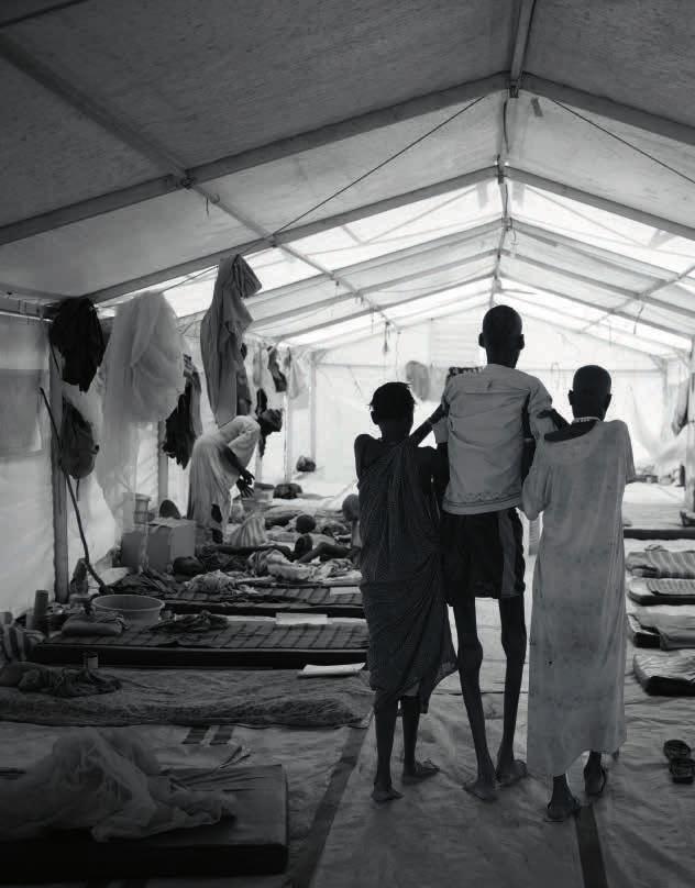 Law Office Of Sator Algeri, Algeria Office