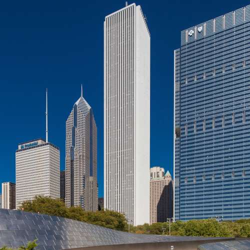 Carmen D. Caruso Chicago,  Office