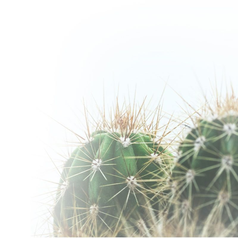 Kamper & Estrada, PLLC Phoenix, AZ Office