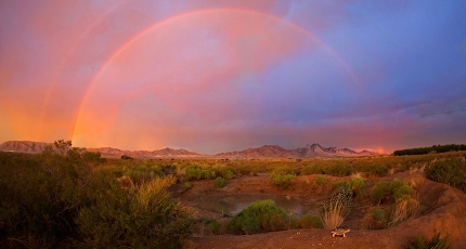 Modrall Sperling Roswell, NM Office