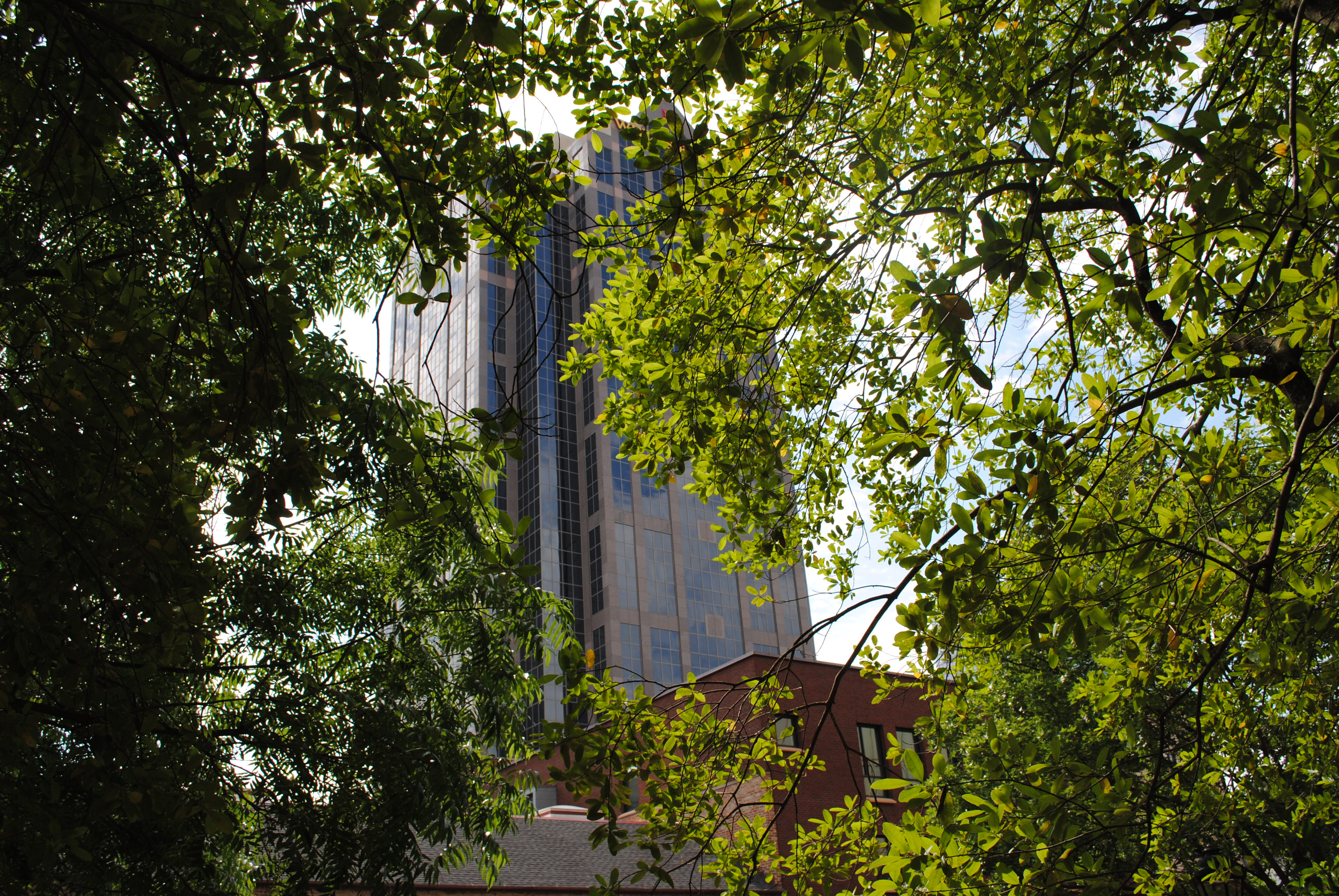 Gammon, Howard & Zeszotarski Raleigh,  Office