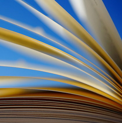 Salvini Escalar e Associati Rome, Italy Office