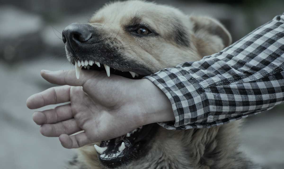 Feiner & Lavy, PC New York City, NY Office