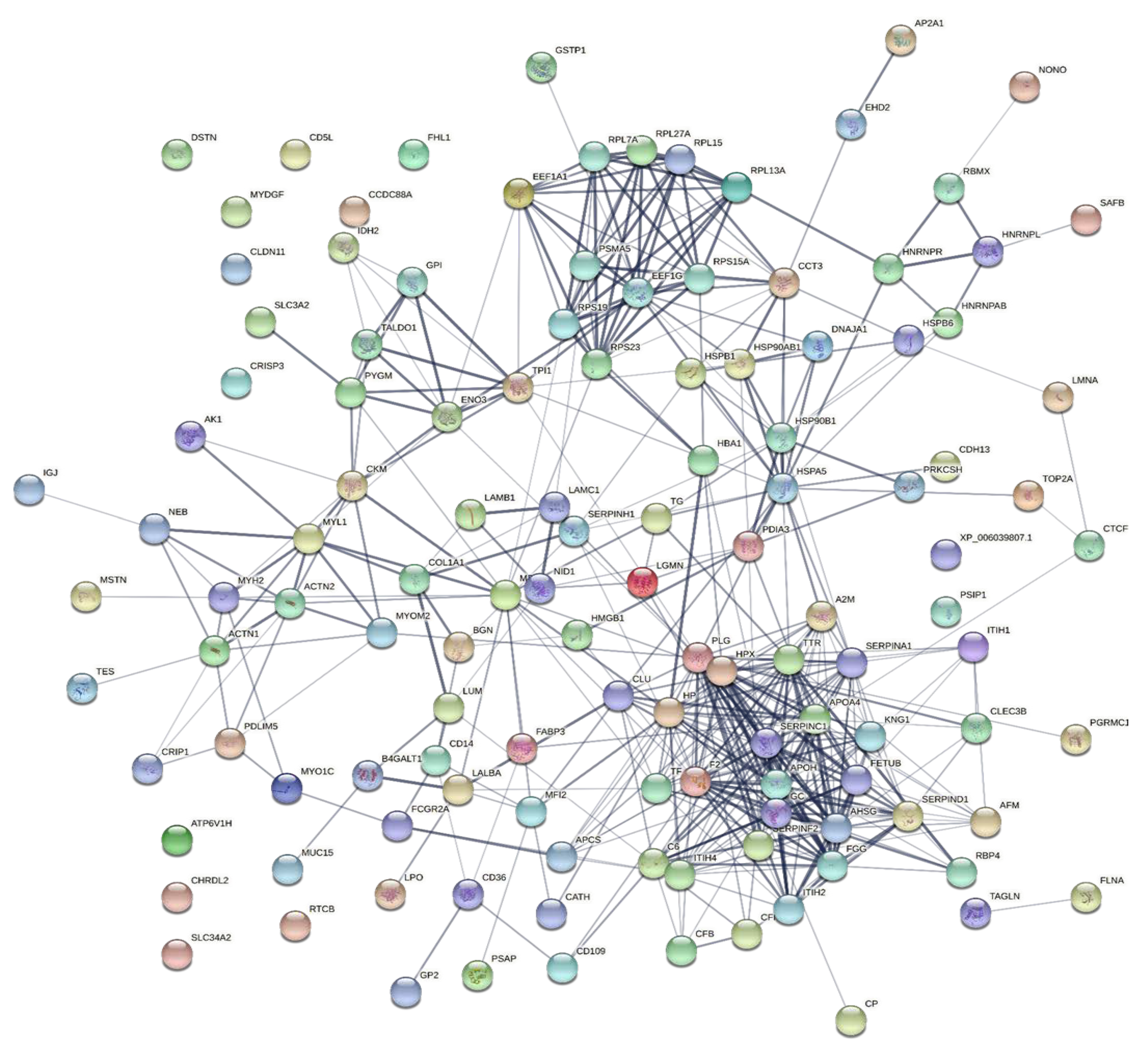 Lehman, Lee & Xu Guangxi, China Office