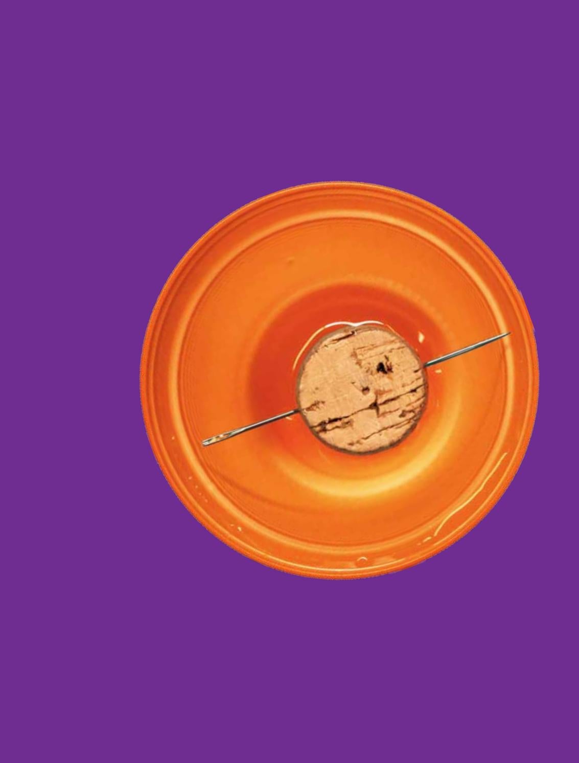 Cesnik, Quintino & Salinas Advogados Los Angeles, CA Office