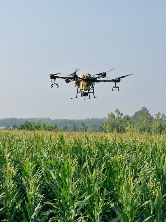 AFR Advocates Guernsey,  Office