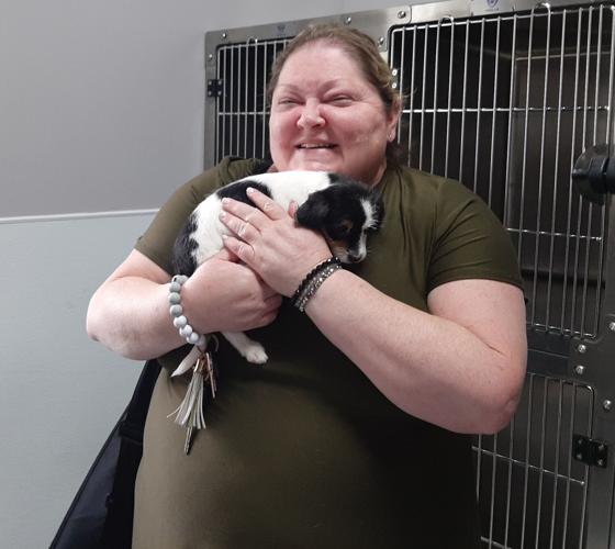 Robert D. Jenkins, Sr Dalton, GA Office