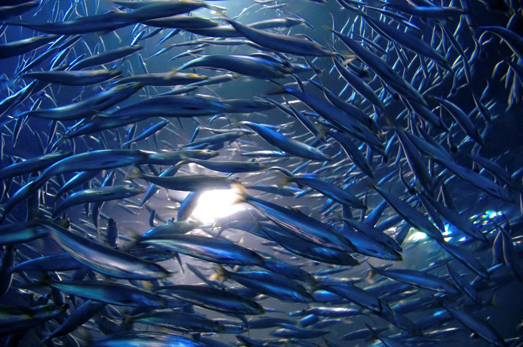 Davis Shapiro Lewit Grabel & Leven, LLP Beverly Hills, CA Office