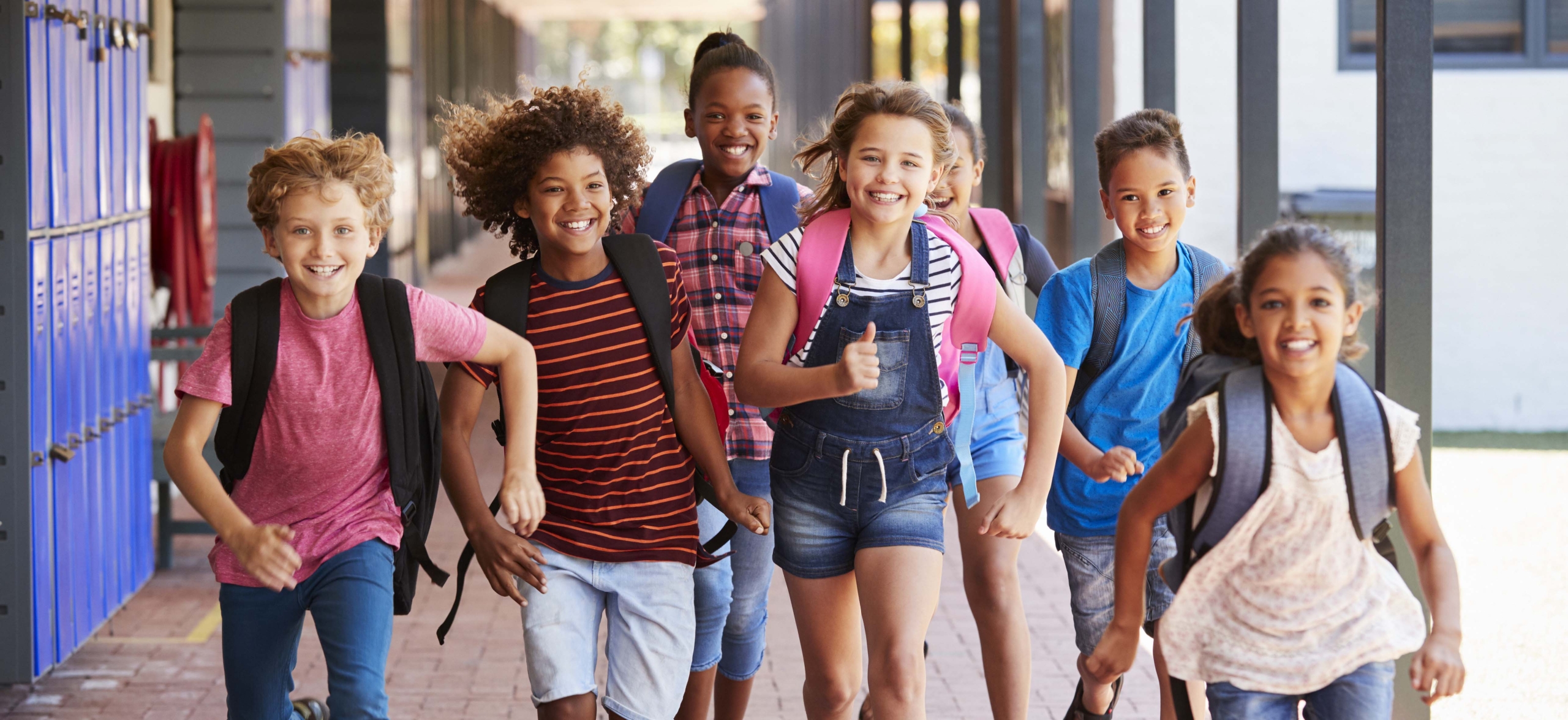 The Lea/Schultz Law Firm, P.C Wilmington, NC Office