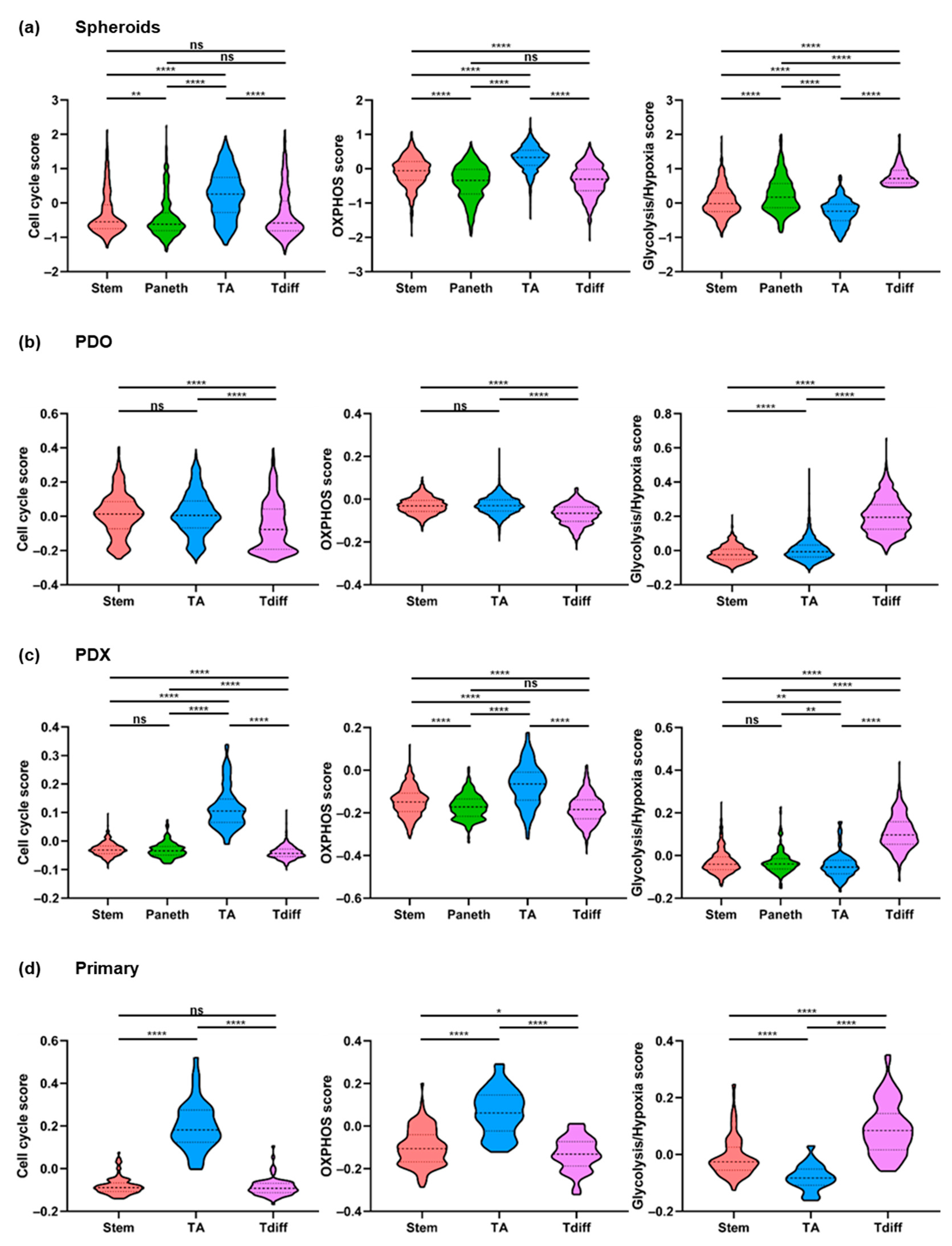 CMS Legal Dresden, Germany Office