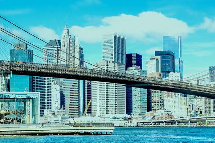 The Orlow Firm New York City, NY Office