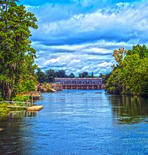 Turner Padget Graham and Laney P.A Martinez, GA Office