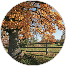 Reisig Criminal Defense & DWI Law, LLC Freehold, NJ Office