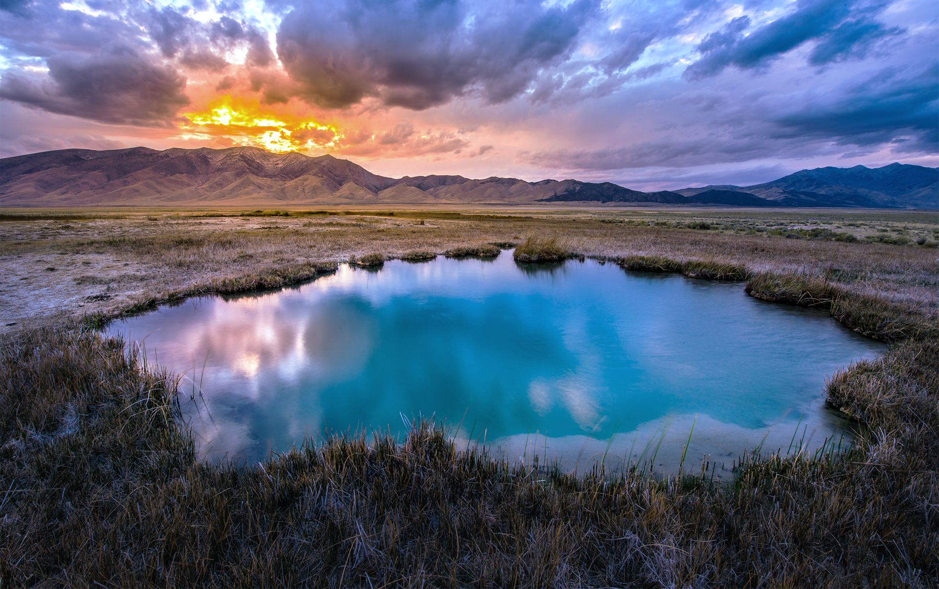 Cann IP Law PLLC Reno,  Office