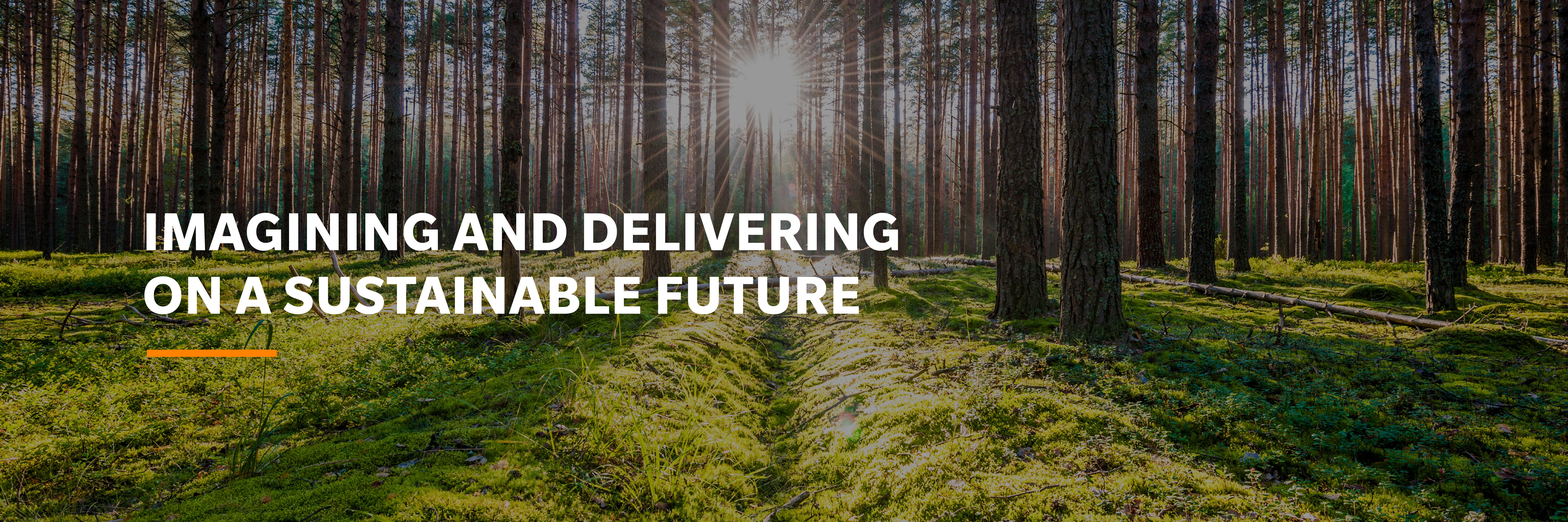 Stones Solicitors LLP Taunton, United Kingdom Office