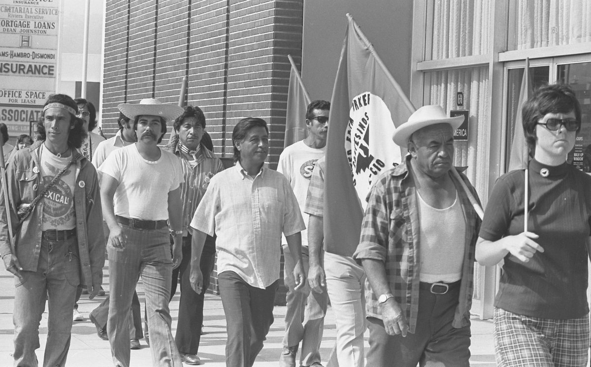 LSS Law Los Angeles,  Office