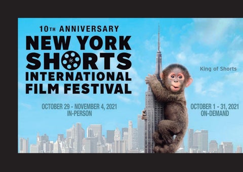 De Martini & Yi LLP Baltimore, NY Office